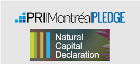 Finance & environnement « au-delà de l’empreinte carbone, de l’intérêt et de la faisabilité de réels critères environnementaux  pour un investissement durable »