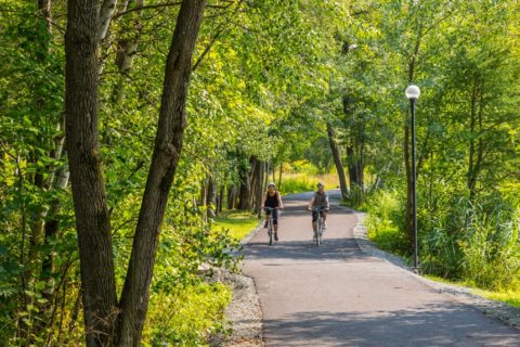 Relance verte, vous avez dit relance verte ?