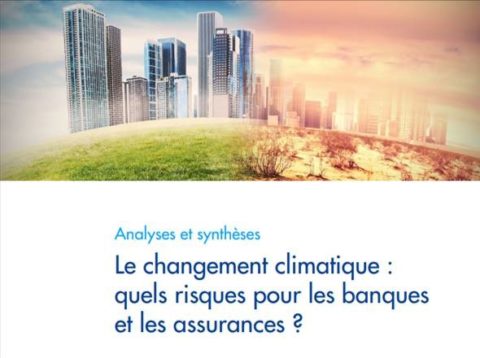 L’Autorité de Contrôle Prudentiel et de Résolution (ACPR) vient de publier deux études importantes et leur synthèse