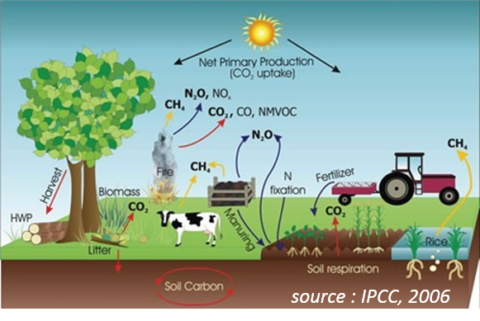 Agriculture et qualité de l’air : I Care & Consult retenu pour accompagner l’ADEME dans le cadre de la définition d’un dispositif de soutien du secteur agricole