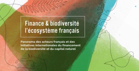 Publication | I Care participe à la rédaction de la publication « Finance & Biodiversité : l&rsquo;écosystème français »
