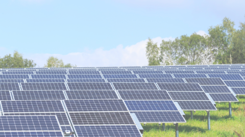 Publication | I Care participe au Rapport sur l&rsquo;Agrivoltaisme de l&rsquo;ADEME